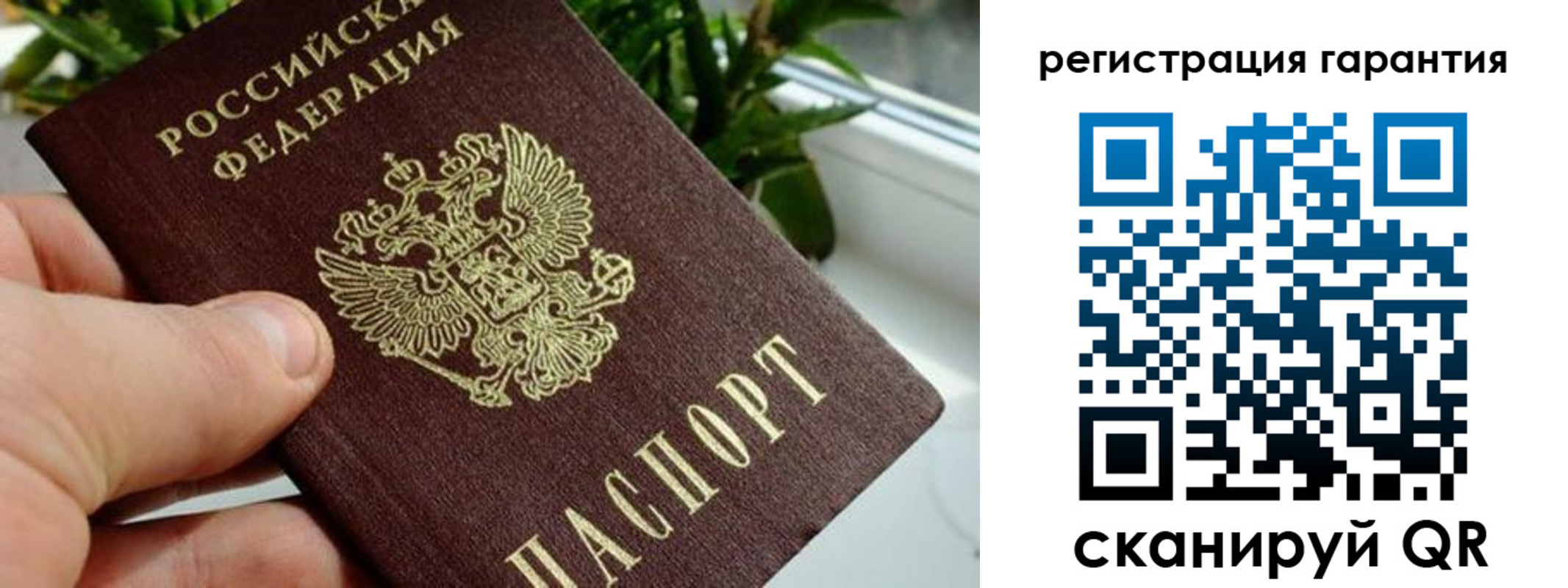прописка регистрация в Бабаево
